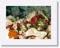 06-Bequia - 29